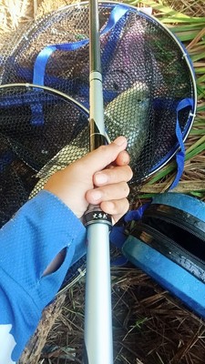 史蒂夫魚竿質(zhì)量怎么樣3