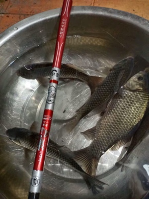 霸將清風(fēng)魚竿怎么樣好不好用2