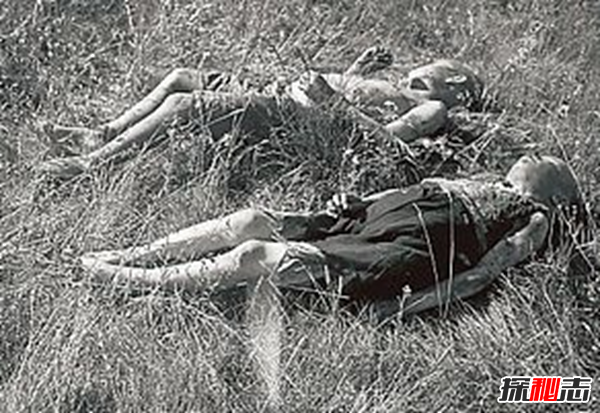 1942芬蘭靈異事件,不費(fèi)一兵一卒消滅蘇軍(人皮尸骸)