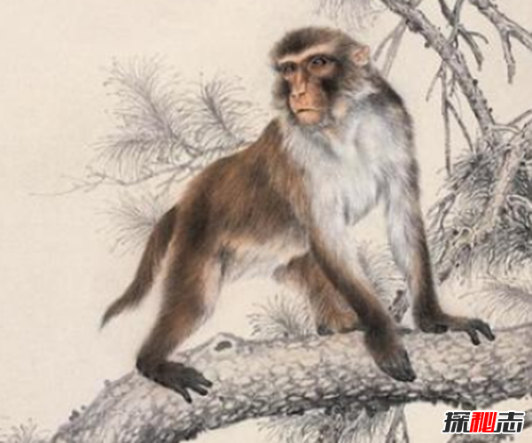 親身經(jīng)歷!安徽農(nóng)村真實(shí)靈異事件,夜晚鬼請醫(yī)為無上顎兒看病