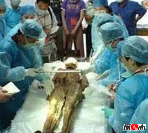 廣西七星巨棺之謎,墓葬主人到底是誰?(六面密封)
